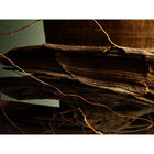 Man Wood Essence  image number null