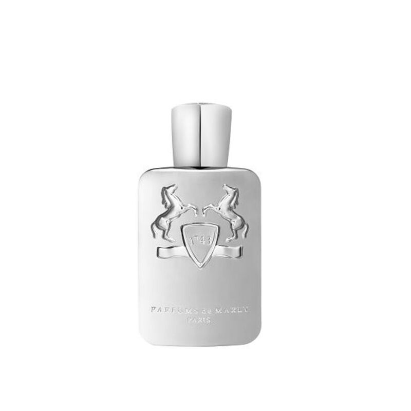 Pegasus  image number null
