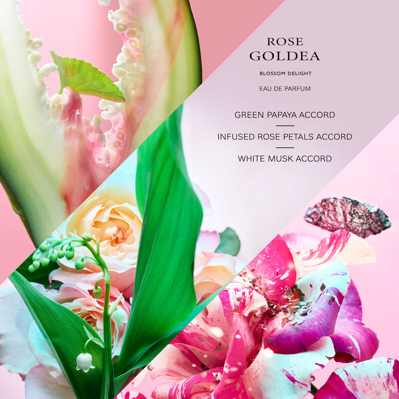 Rose Goldea Blossom Delight image number null
