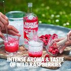 Vodka Raspberri image number null