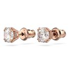 Constella Lady Earrings image number null