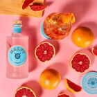 Rosa Italian Gin image number null