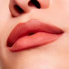 Powder Kiss Velvet Blur Slim Stick image number null