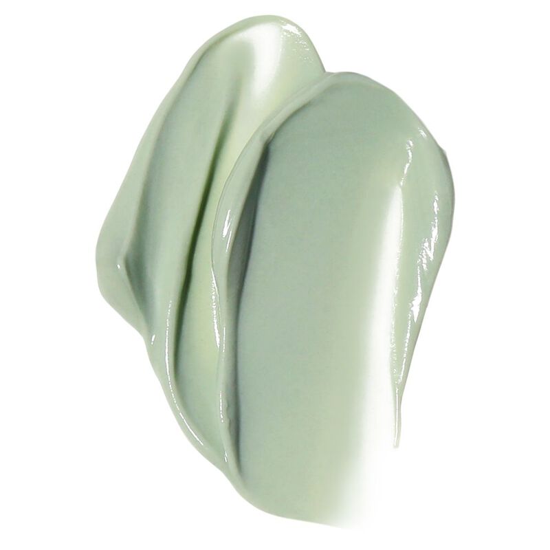 The Porefessional Speedy Smooth Pore Mask image number null