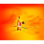 The Elementa 14 Year Old with Giftbox image number null