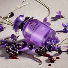 Dolce Violet image number null