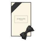 Pine & Eucalyptus Diffuser  image number null