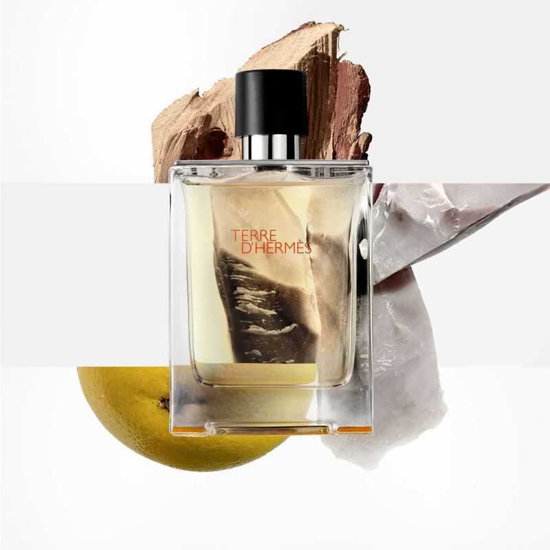 Terre d'Hermès image number null