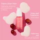 Vinohydra Hyaluronic Serum image number null