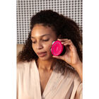 Bear 2 Evergreen image number null