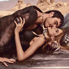 Q by D&G Intense image number null