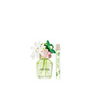 Daisy Wild Duo Gift Set image number null