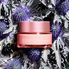 Multi Active Day Cream All Skin Type image number null