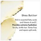 Sheabutter Shampoo Intense image number null