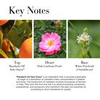 5th Avenue NYC Love image number null