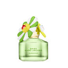 Daisy Murakami Green Limited Edition image number null