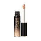Studio Radiance 24HR Luminous Lift Concealer image number null