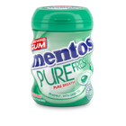Gum Pure Fresh Spearmint image number null