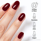 xPress/On image number null