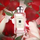 Pomegranate Noir Cologne image number null