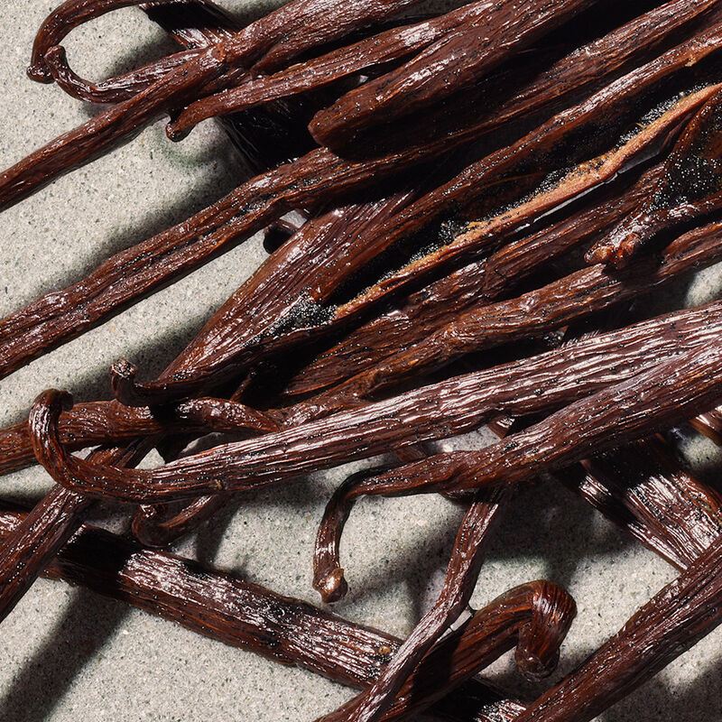 Dolce Violet image number null