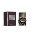 Pour Homme Absolu image number null