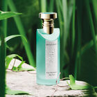 Eau Parfumée Thé Vert image number null