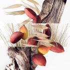 Jardins Collection Travel Set image number null
