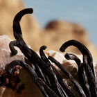 Q By Dolce Gabbana image number null