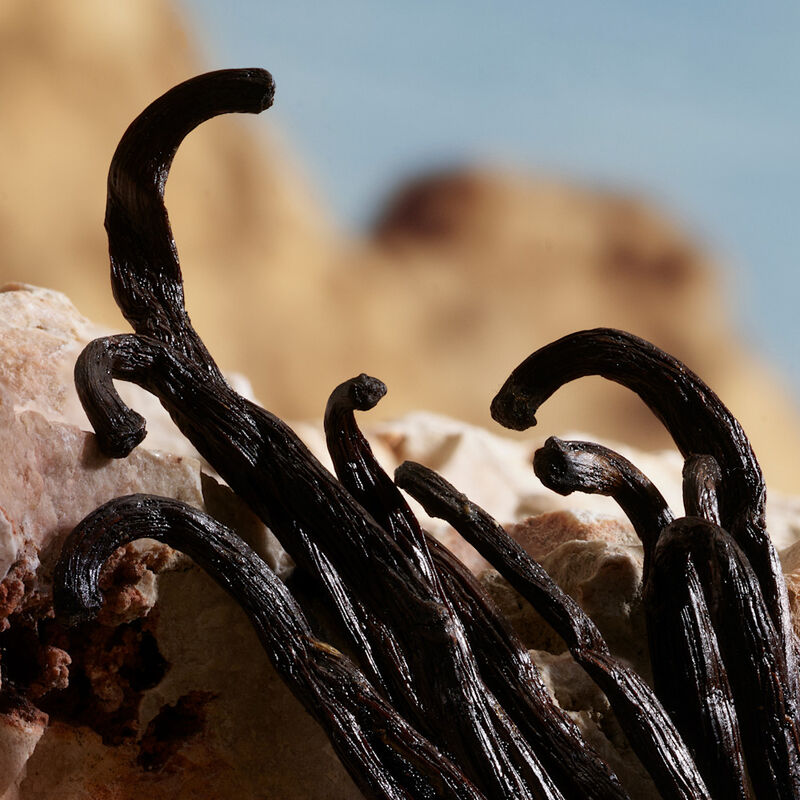 Q By Dolce Gabbana image number null