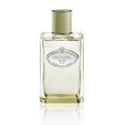 Infusion de Vetiver image number null
