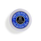 Shea Butter Ultra Rich Body Cream image number null